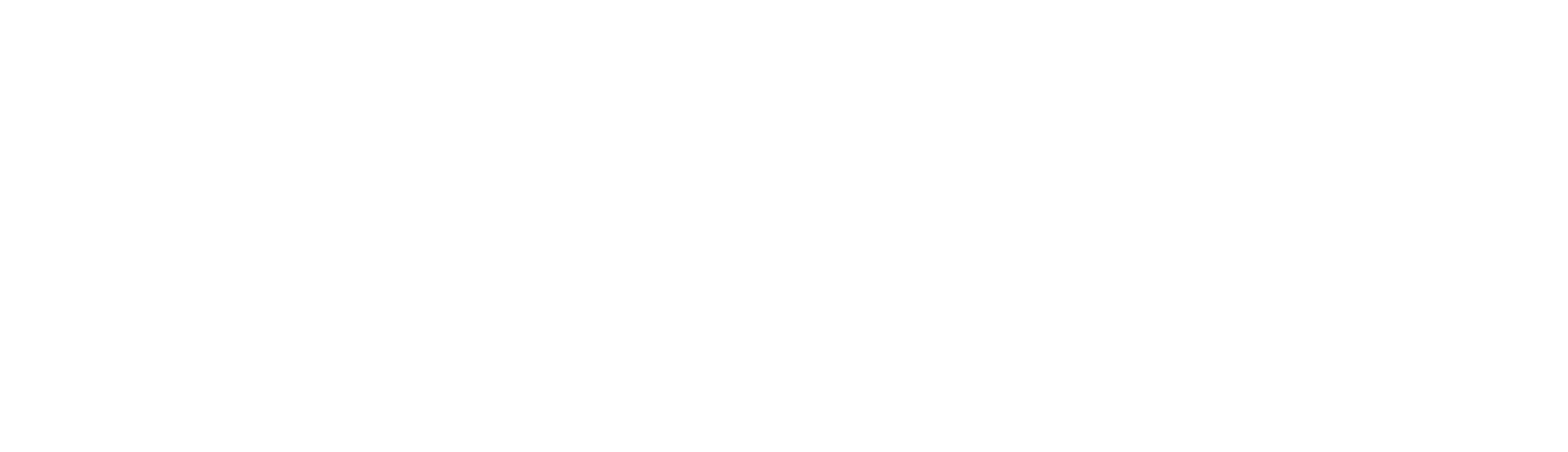 SR Netcore IT Services
